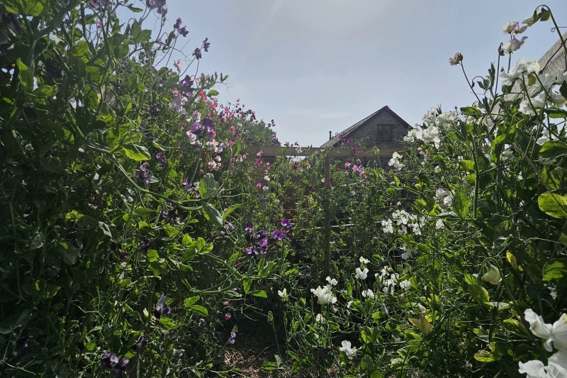 Neuadd Stone Barn